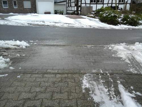 20190312_073256.jpg