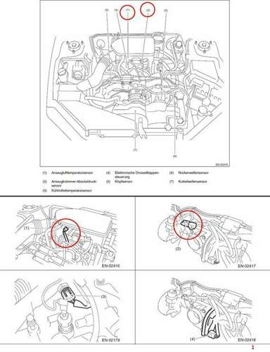 Teschauer-1