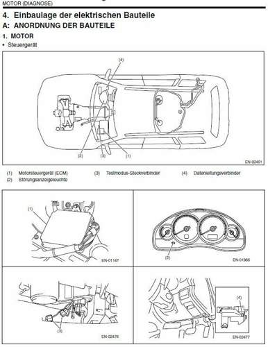 Temp-sensibelchen-0-1