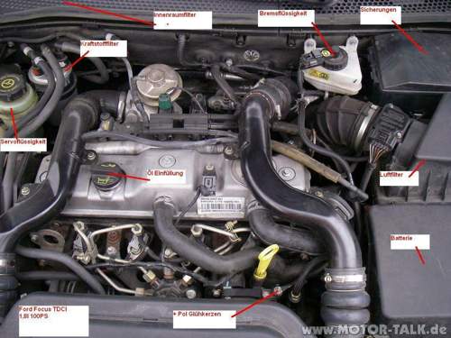 Ford-focus-motor-von-oben