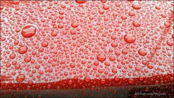Carclean09