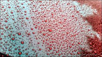 Carclean05