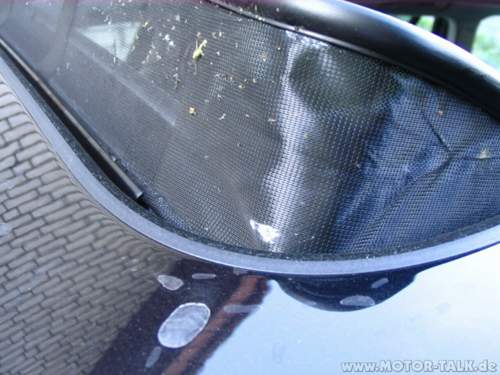 Img-5325