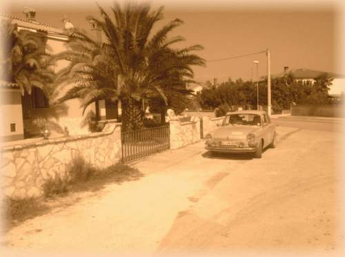 Vw-palme