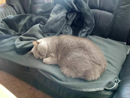 Img-20191222