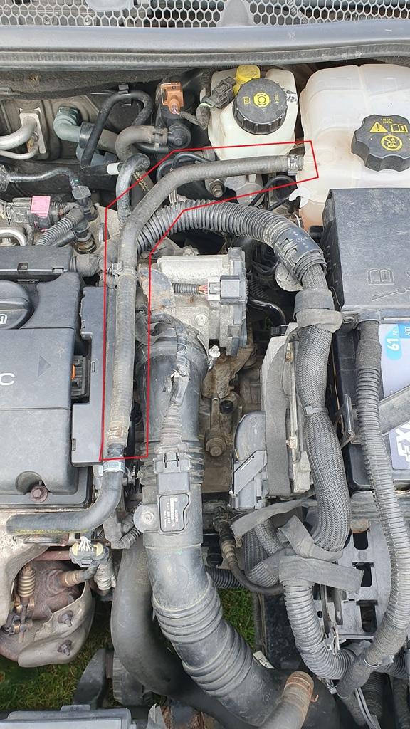 Suche Teilenummer für Kühlerschlauch A16LET