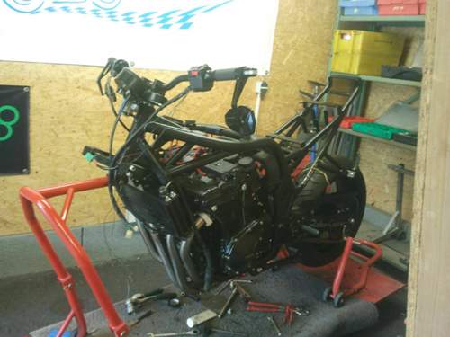 Bandit1100