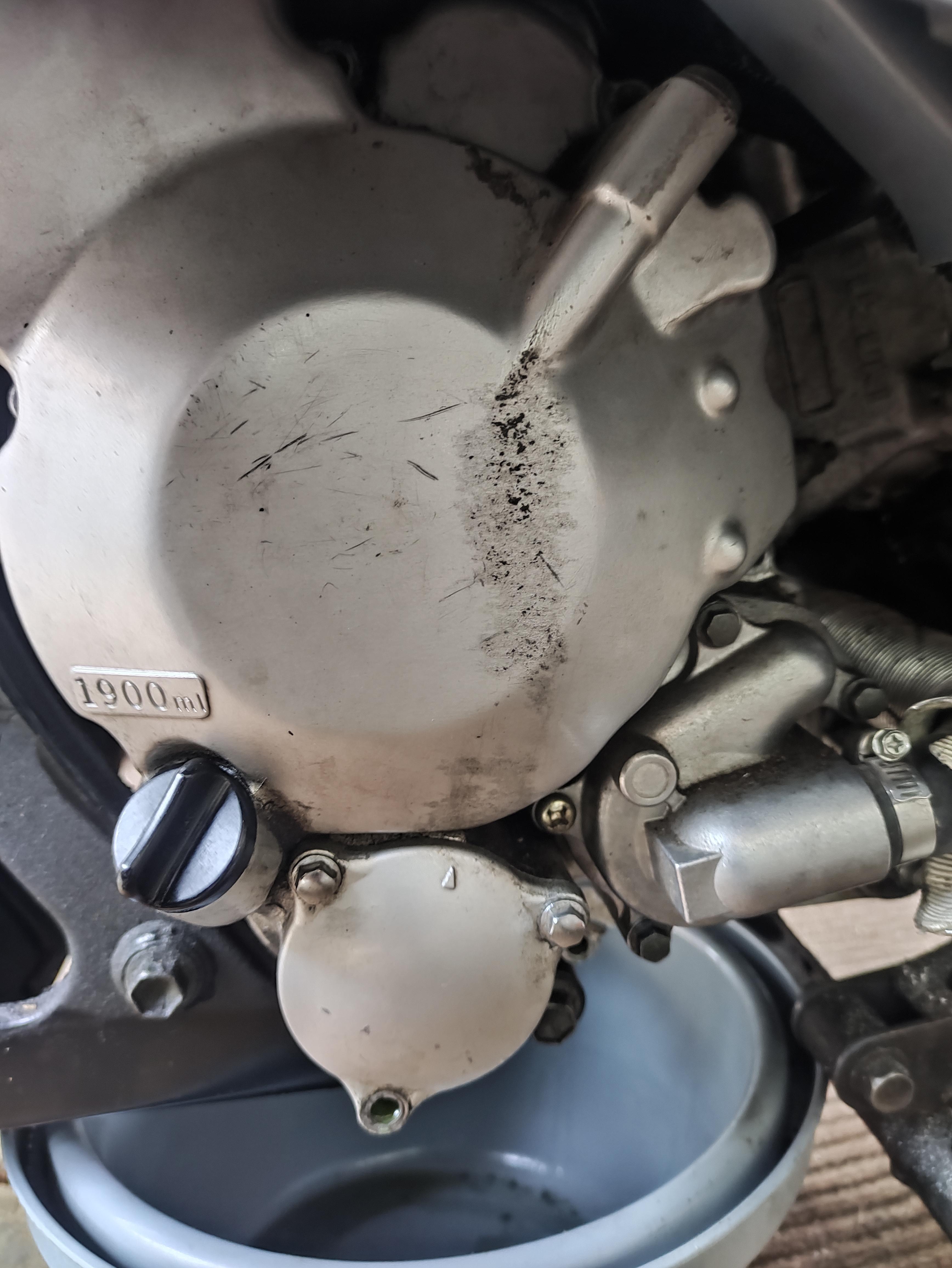 Suzuki Burgman AN 400 Freilauf Gehäsedeckel entfernen