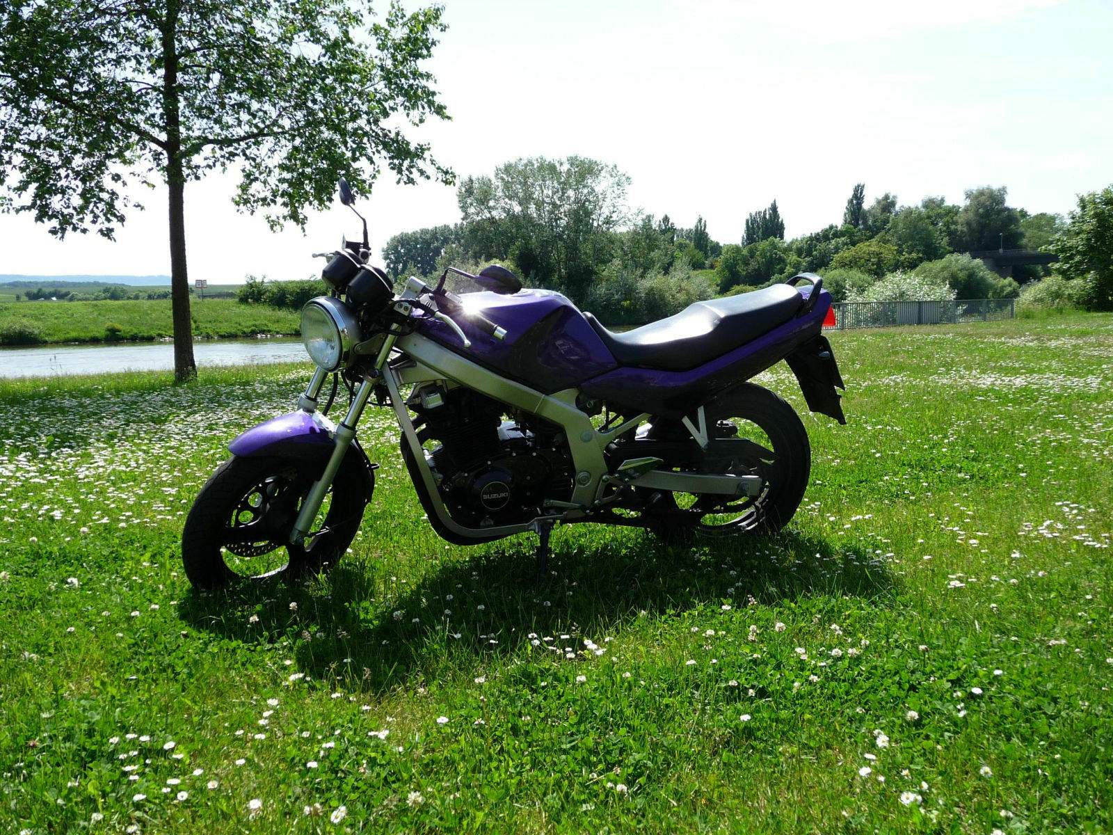 Schone Suzuki Gs 500 E Hochstgeschwindigkeit Ebenbild