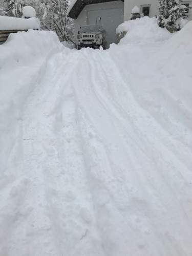 Img-4546