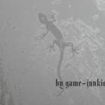 Frost-Gecko