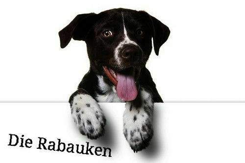 Die-rabauken