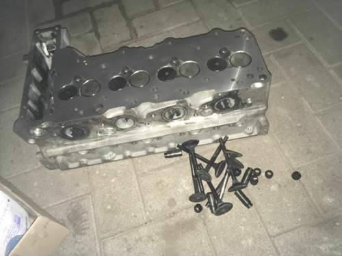 Img-1713