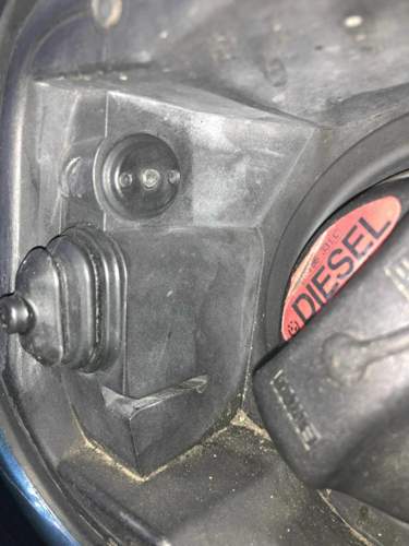 Asset.HEIC.jpg