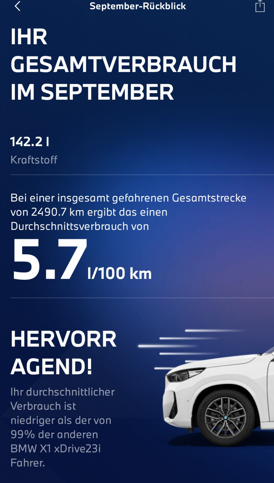 Tatsächliche Verbräuche