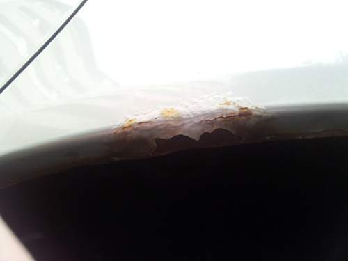 Rost3