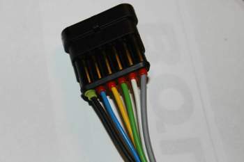 Img-8028