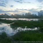 Img-6511