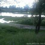 Img-6512