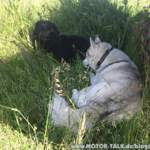 Img-6579