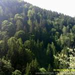 Img-6624