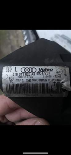 955baacb-42c8-4353-b901-52852468d03d