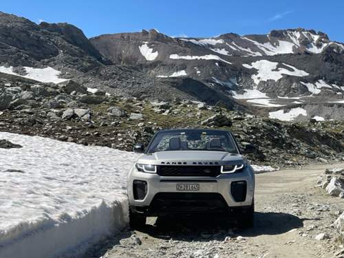 Artgerechte Haltung diesen Sommer am Col de Sommeilier.jpg