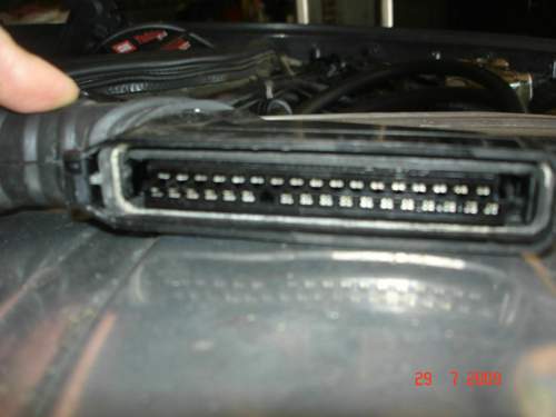 Stecker N30/1
