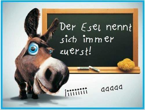 Bild #209175382