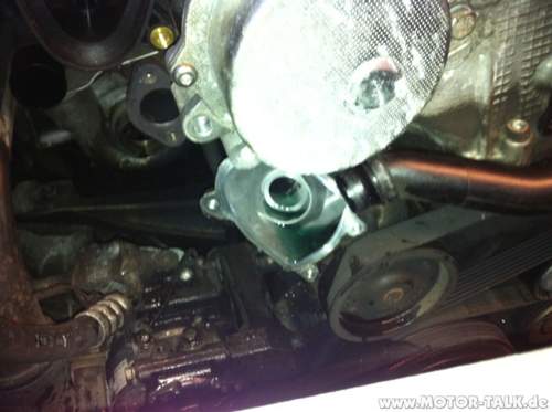 Photo-3