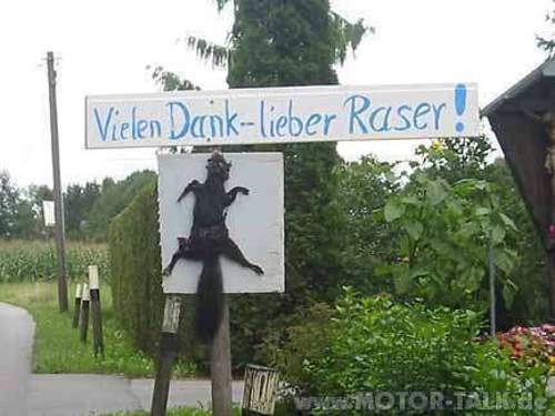 Vielen-dank-liebe-raser
