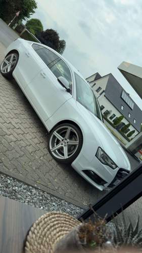 Bild #211579623