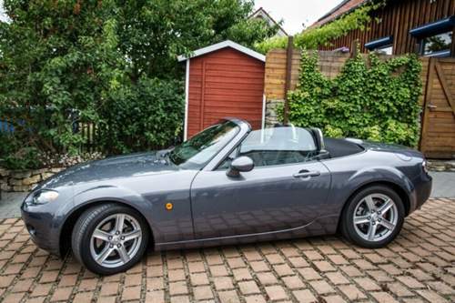 Nc mit blauen Federn