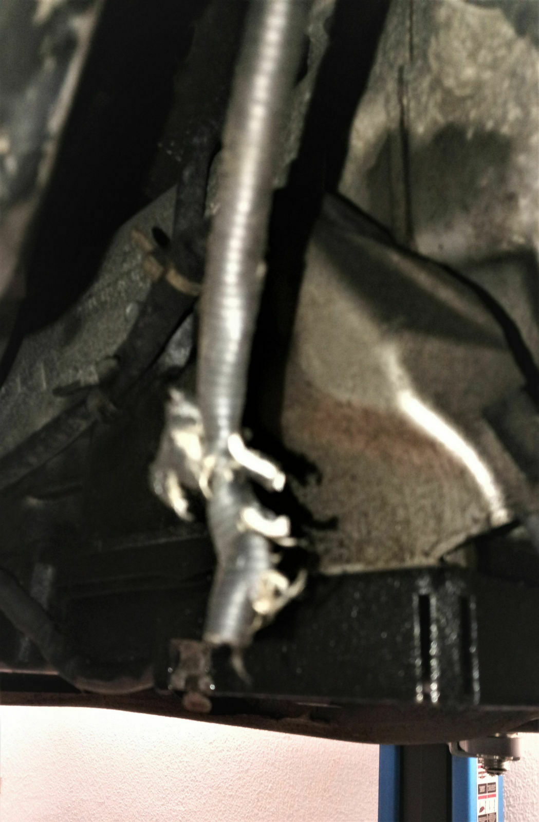 Tierischer Besuch im Motorraum, MKL an...