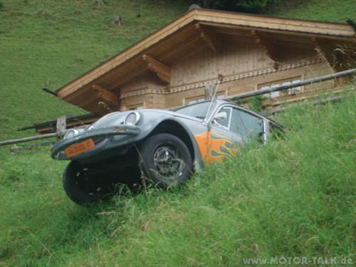 Kaefer-in-der-boeschung