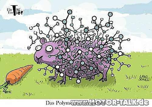 Polymeerschweinchen