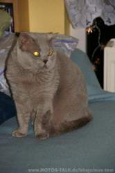X-mas-2007-12-24-025-kf-20-38-kopie