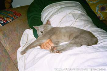 Jordan-2003-11-020