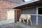 Toms Diskusions - Ecke