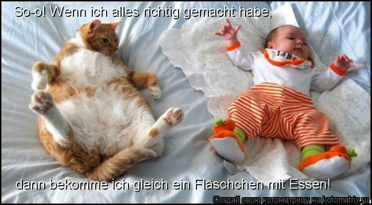 Toms Diskusions - Ecke