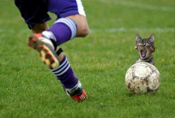 Lustige-fussball