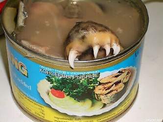 Lustige-ecklige-lebensmittel-fisch-bilder