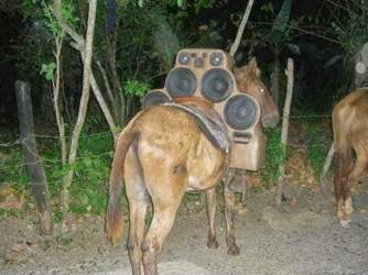 Andere-laender-andere-soundanlagen