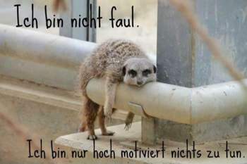Nicht-faul-nur-hoch-motiviert-nichts-zu-tun