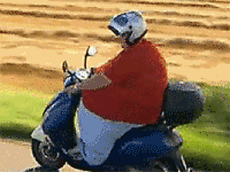 V11-armes-moped