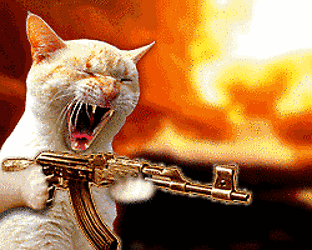 Frenzy-cat