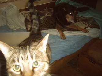 Img01068