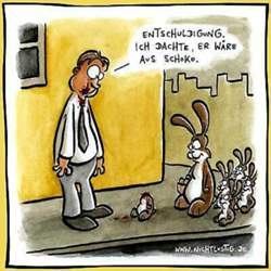 Armer-hase