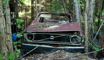 Wrack417