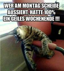 Altaiwamj3f5hlunzsosg26twjsz5xgcabvkdhf2vbyeh26